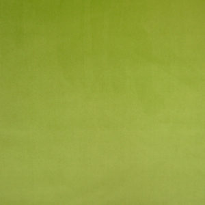 Cristina Marrone Cambio Fabric in Sage