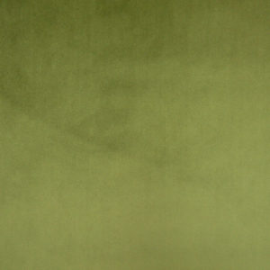 Cristina Marrone Cambio Fabric in Olive