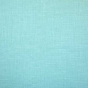 Cristina Marrone Emporio Fabric in Duck Egg