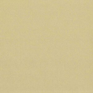 Cristina Marrone All Seasons 2484 CHAMPAGNE