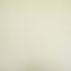 Cristina Marrone Cambio 1732 OYSTER