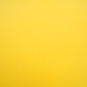 Cristina Marrone Cambio 1738 LEMON
