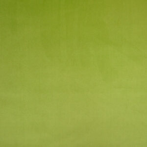 Cristina Marrone Cambio 1749 SAGE