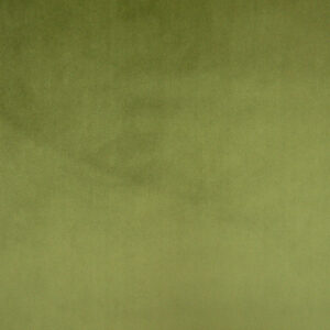 Cristina Marrone Cambio 1750 OLIVE