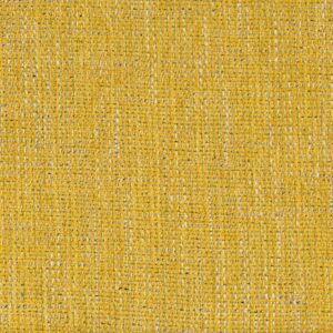 Cristina Marrone Ferrara 2444 SUNFLOWER