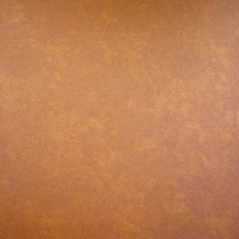 Cristina Marrone Infiniti 1849 CAMEL