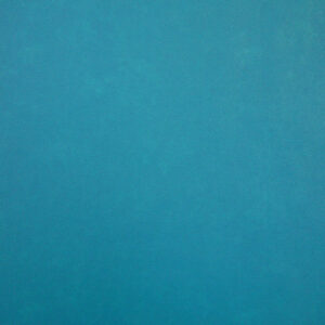 Cristina Marrone Infiniti 1854 LAGOON