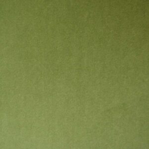 Cristina Marrone Passione 2715 OLIVE