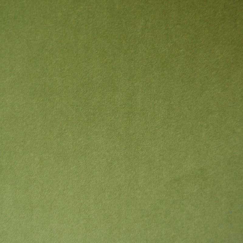 Cristina Marrone Passione 2715 OLIVE