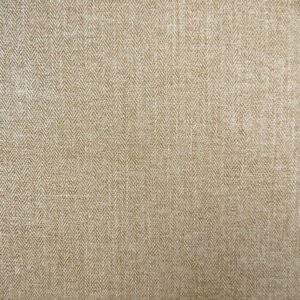 Cristina Marrone Scenario 2080 BARLEY